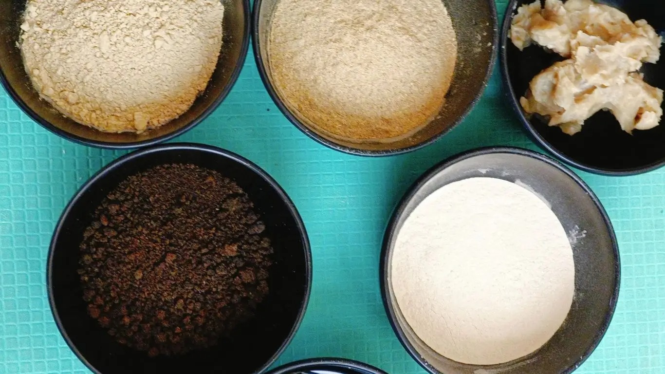 100 Hour Yoga Teacher Training in Rishikesh 